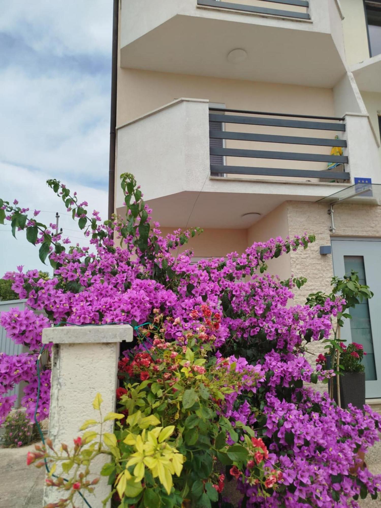Smokvica Apartment ซาวูดริยา ภายนอก รูปภาพ