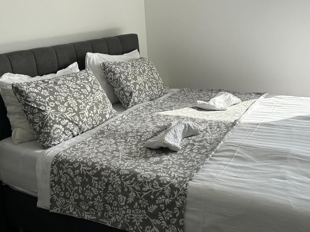 Smokvica Apartment ซาวูดริยา ภายนอก รูปภาพ