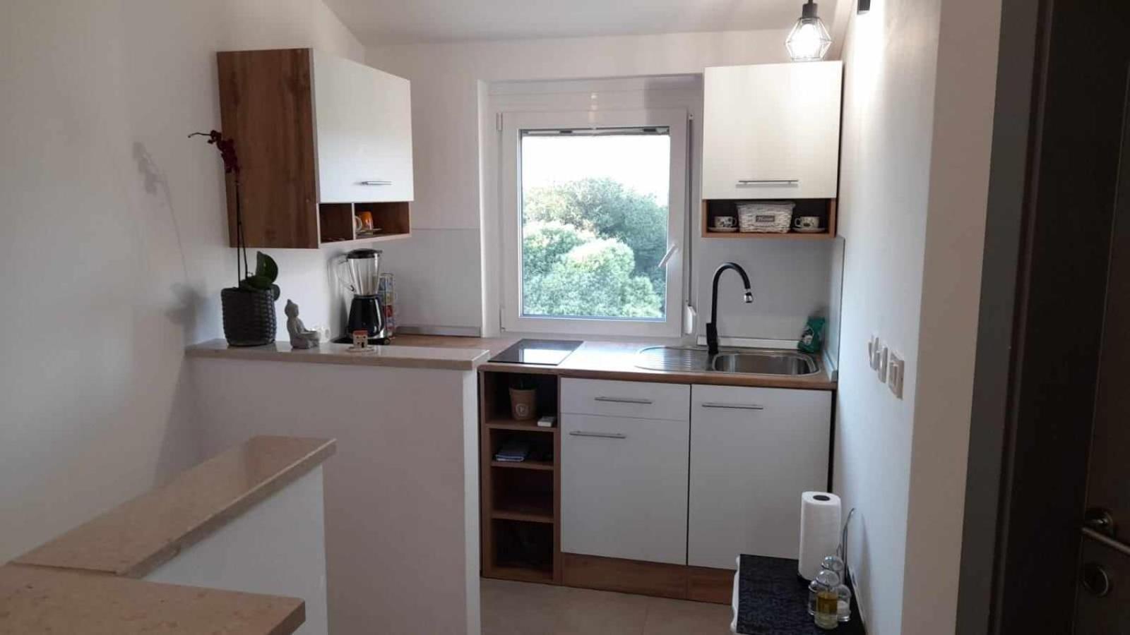 Smokvica Apartment ซาวูดริยา ภายนอก รูปภาพ
